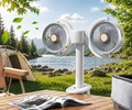 Dual Head Cooling Fan, Adjustable Desktop USB Fan, Double Head Wall Mounted Cooling Fan, Portable Office Desk Fan
